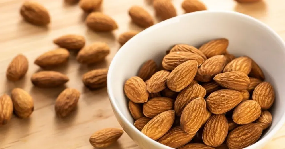 What Will Happen If You Take Almonds Everyday - Earthlydiets
