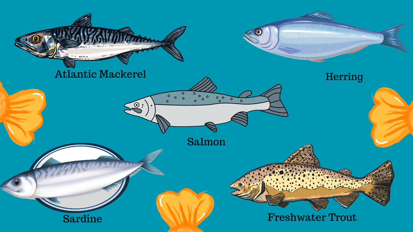 Most Nutritious Fish To Eat: The Fantastic Six!